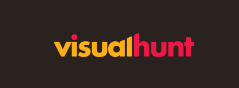 Visual Hunt