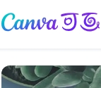 Canva可画